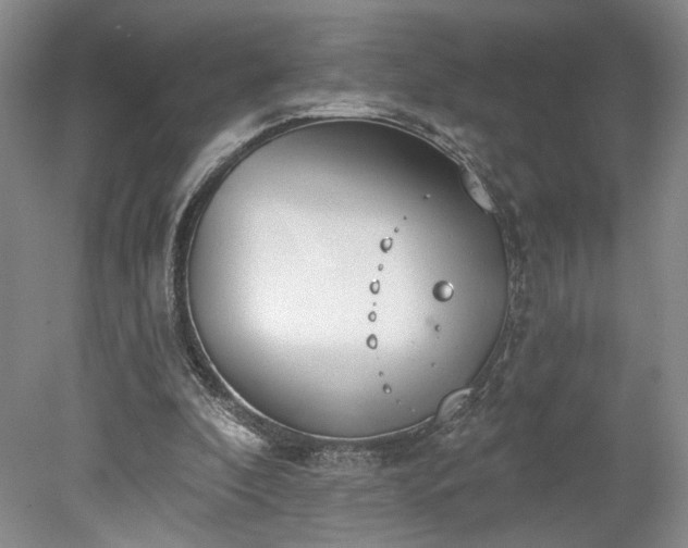 X0000078230296200611101016