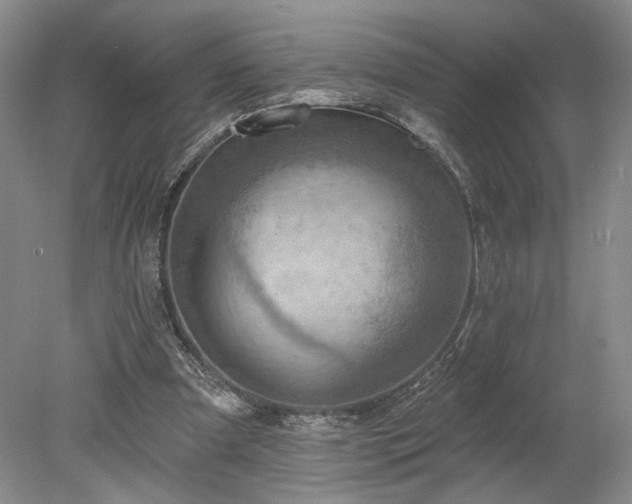 X0000078230297200611101016