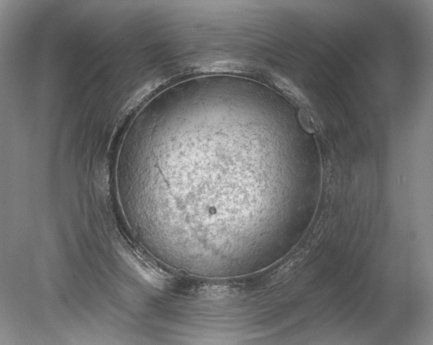 X0000078230298200611101016