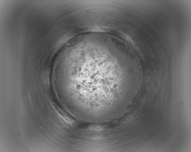 X0000078230299200611101016