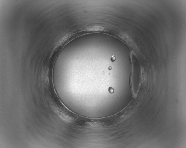 X0000078230300200611101016