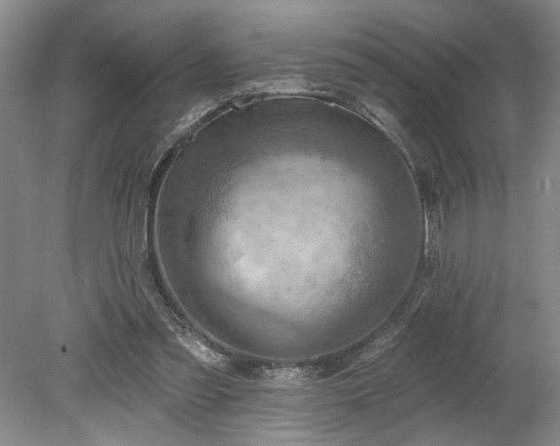 X0000078230301200611101016