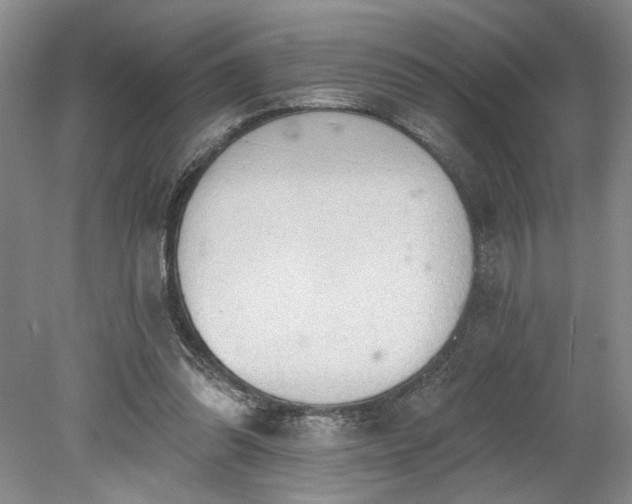 X0000078230302200611101016