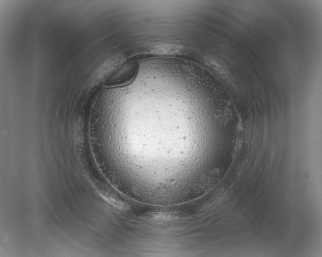 X0000078230303200611101016