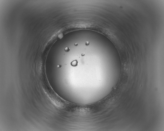 X0000078230304200611101016