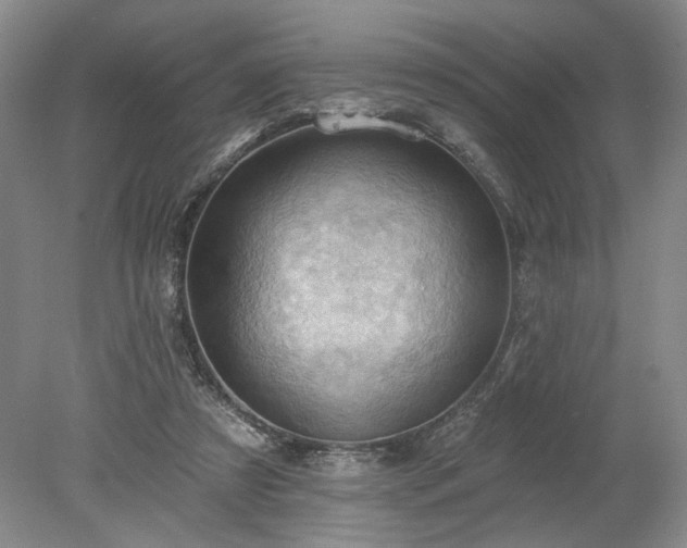 X0000078230305200611101016