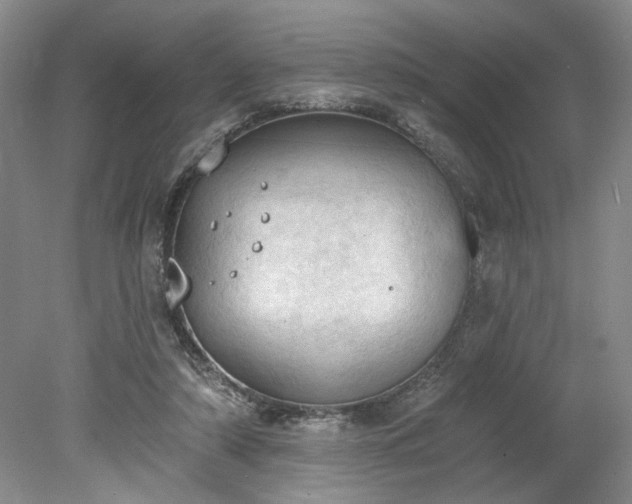 X0000078230306200611101016