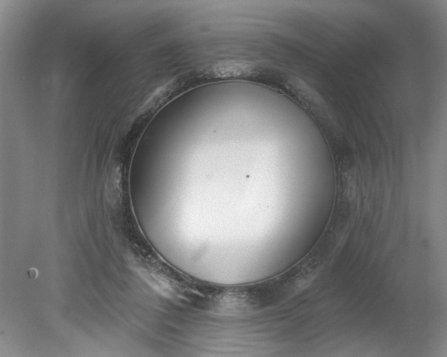 X0000078230308200611101016