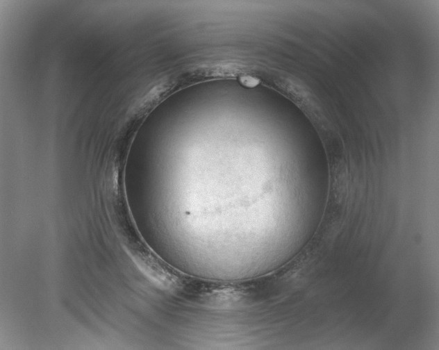 X0000078230310200611101016