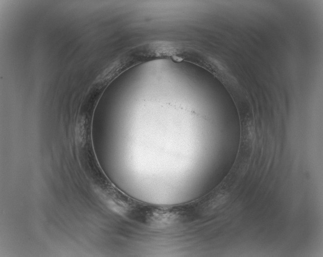 X0000078230311200611101016