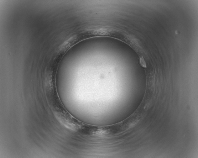 X0000078230312200611101016