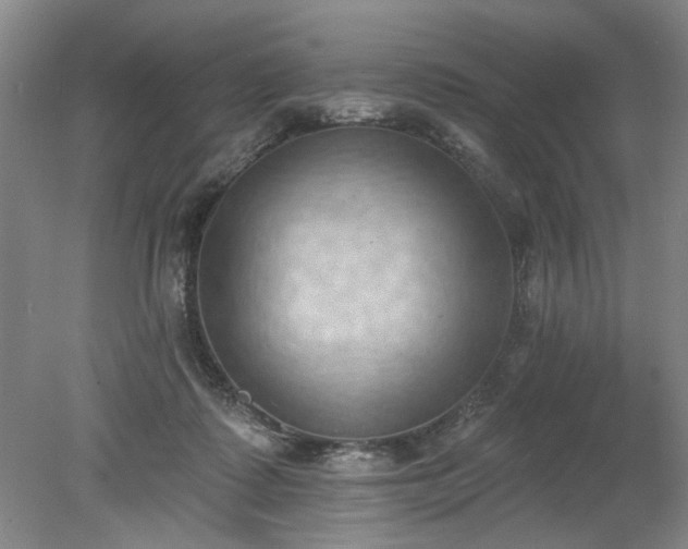 X0000078230315200611101016