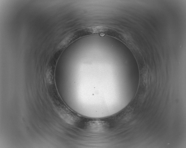 X0000078230316200611101016