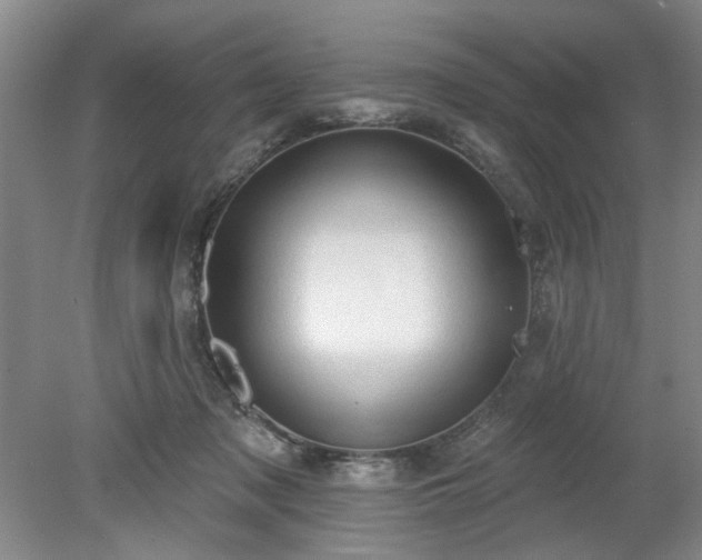 X0000078230317200611101016