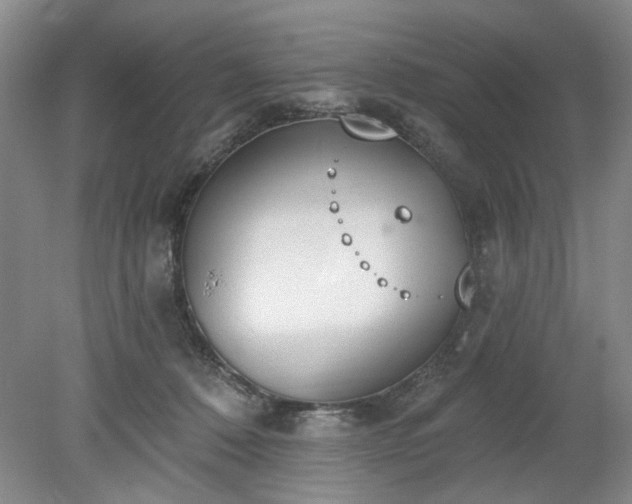 X0000078230320200611101016