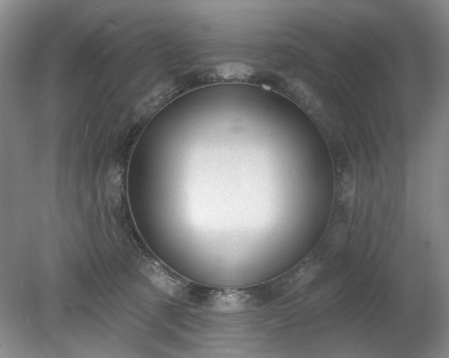 X0000078230321200611101016