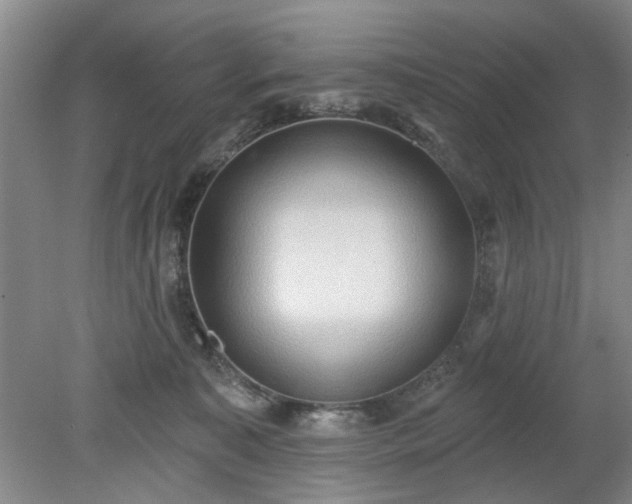 X0000078230323200611101016