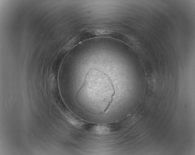 X0000078230327200611101016