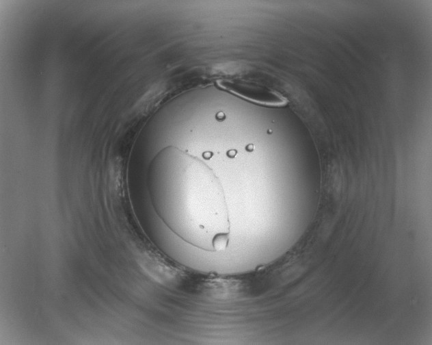 X0000078230328200611101016