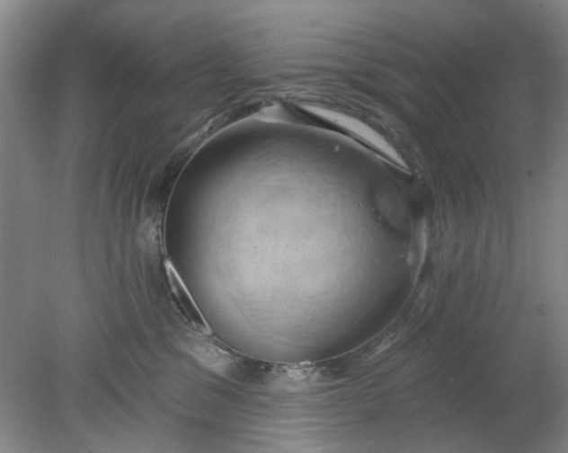 X0000078230329200611101016