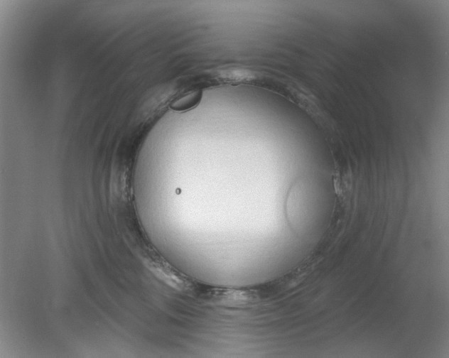 X0000078230330200611101016