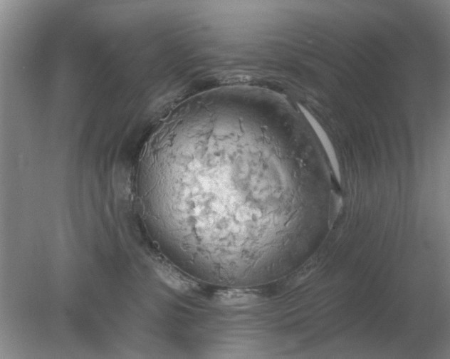 X0000078230331200611101016