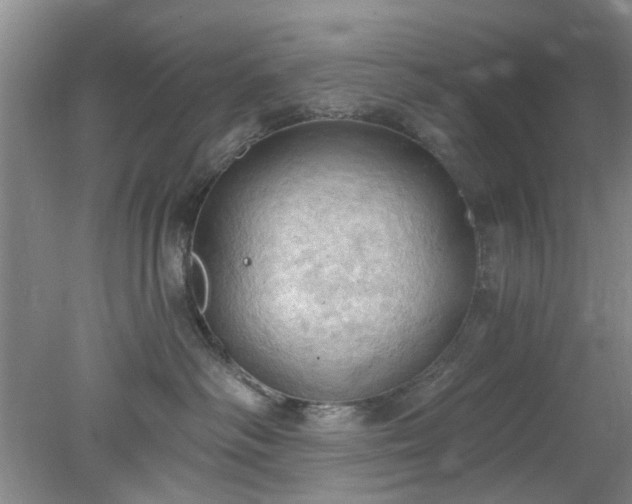 X0000078230334200611101016