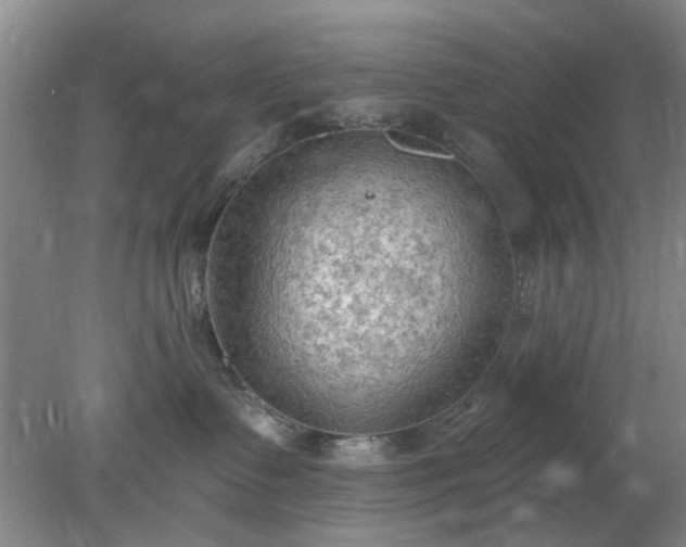 X0000078230335200611101016