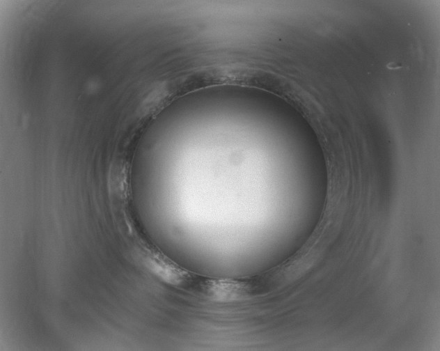 X0000078230336200611101016