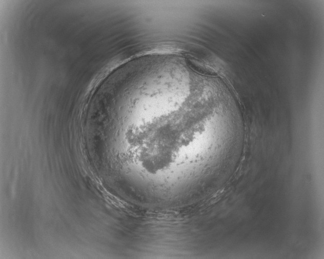 X0000078230337200611101015