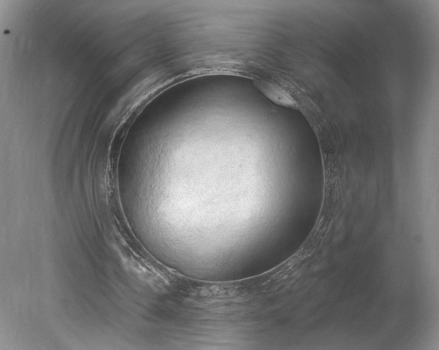 X0000078230338200611101015