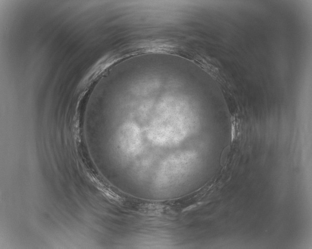 X0000078230339200611101015