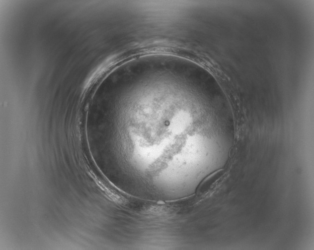 X0000078230341200611101015