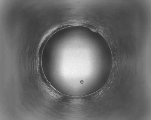 X0000078230342200611101015