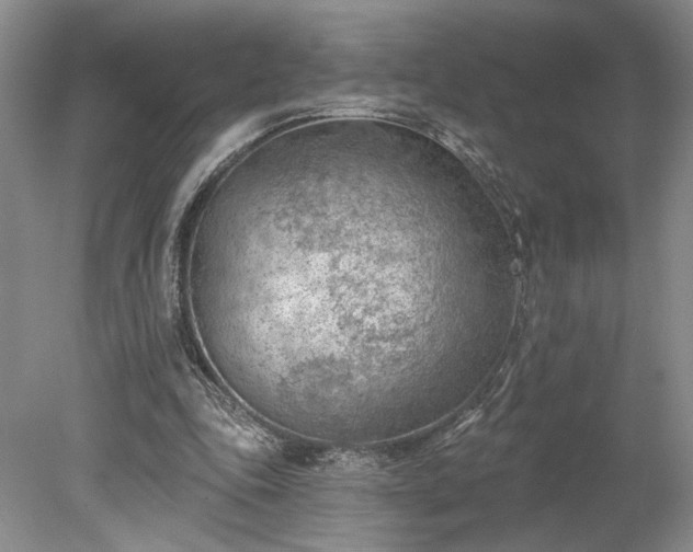 X0000078230343200611101015