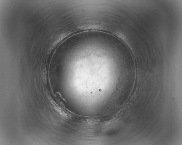 X0000078230345200611101015