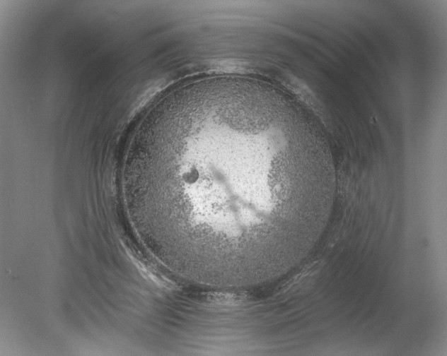 X0000078230347200611101015