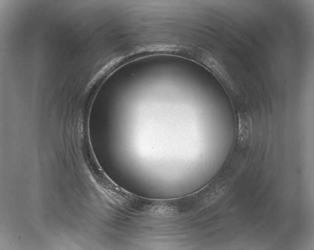 X0000078230348200611101015