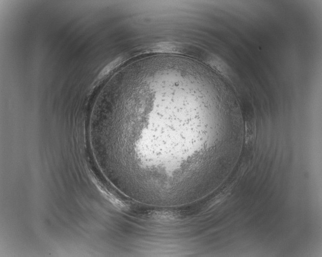 X0000078230349200611101015