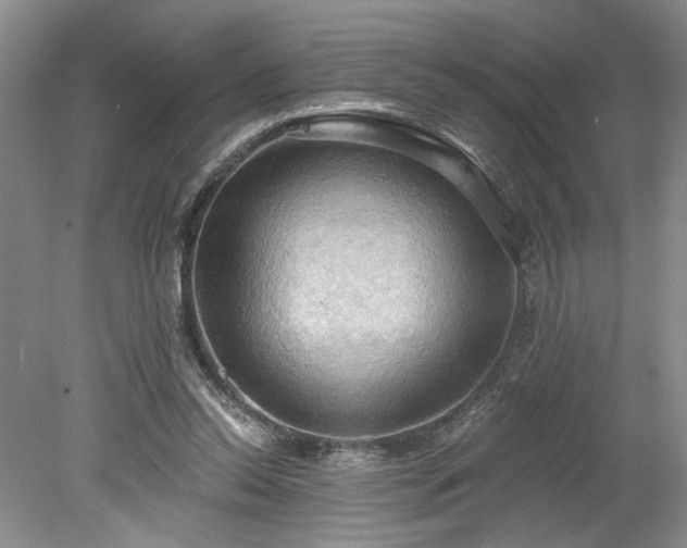 X0000078230350200611101015