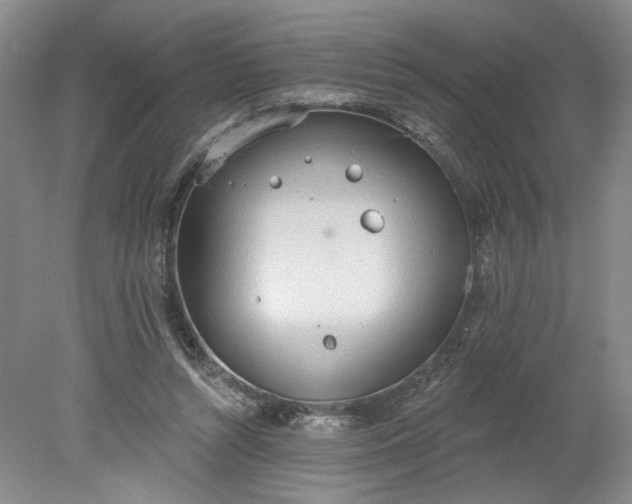 X0000078230352200611101015