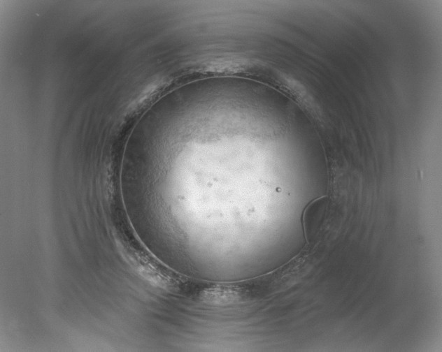 X0000078230354200611101015