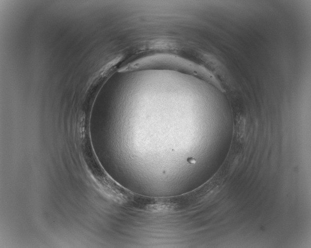 X0000078230356200611101015