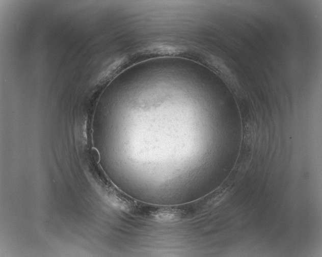 X0000078230358200611101015