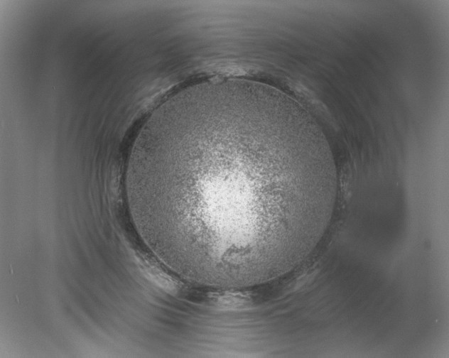 X0000078230359200611101015