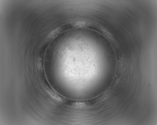 X0000078230361200611101015