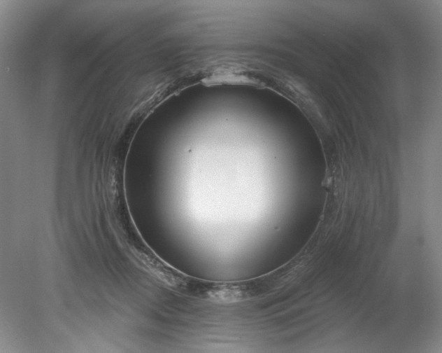 X0000078230362200611101015