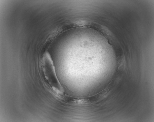 X0000078230365200611101015