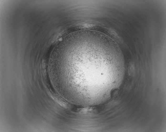 X0000078230366200611101015