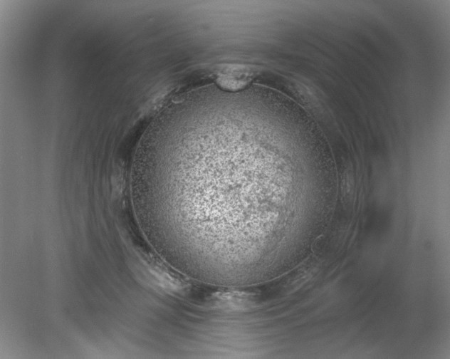 X0000078230367200611101015